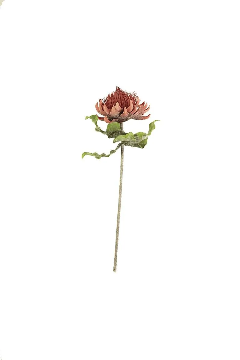 Botanica #2422 (Pack of 6)