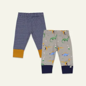Multicoloured Dinosaur And Stripe Print Leggings - 2 Pack