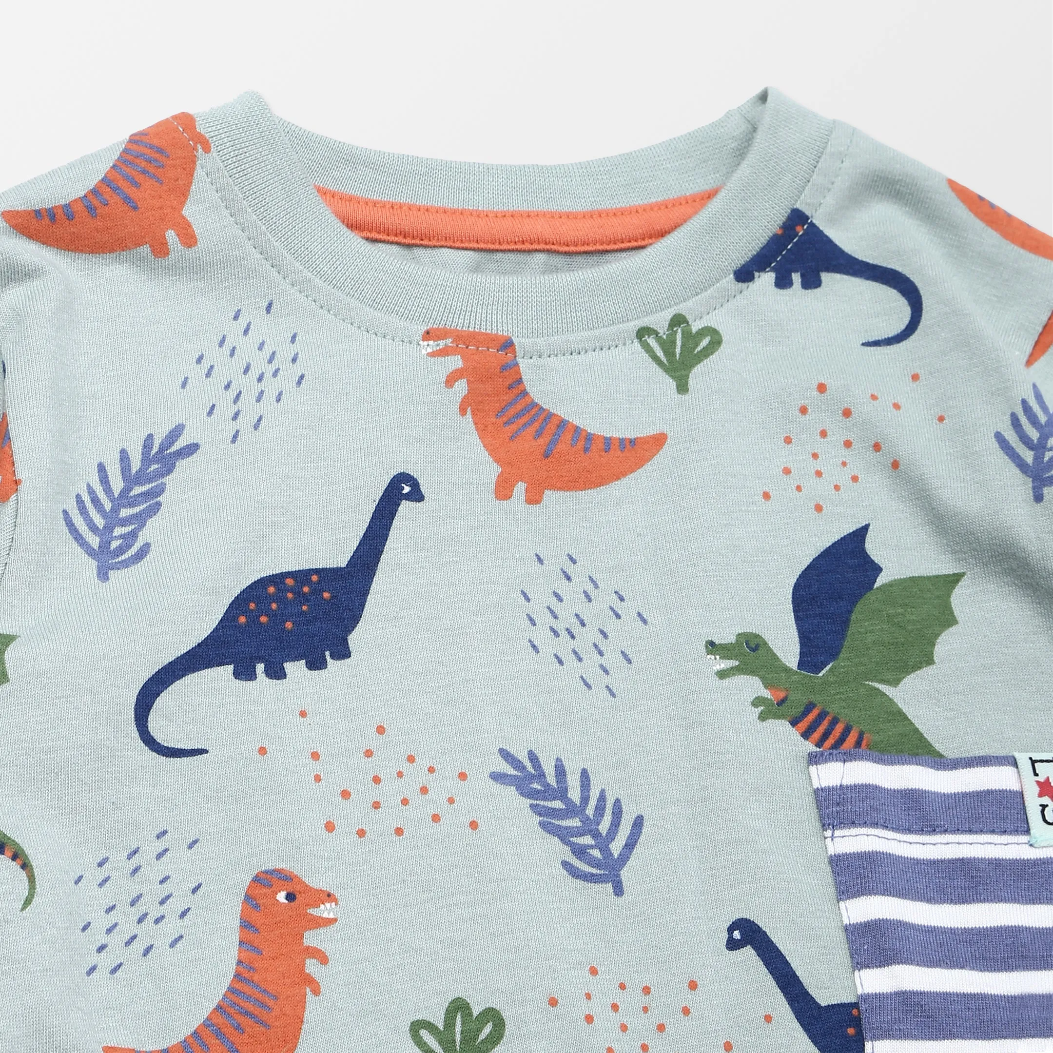 Multicoloured Dinosaur Print And Plain Top - 2 Pack